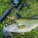 Ein Forellenbarsch liegt mit einer Angelrute und Rolle Gomexus Power Handle mit Flat Knob 110 mm (7 x 4 mm) im Gras und hält einen kleineren Fisch im Maul.